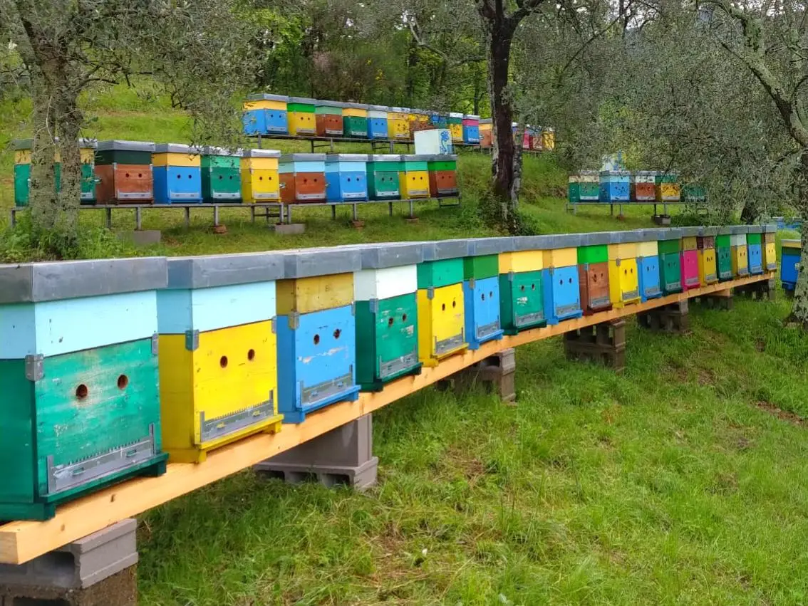 Apiario vista 7, bio